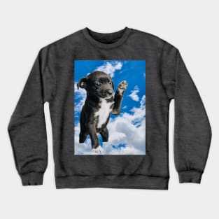 Black puppie Crewneck Sweatshirt